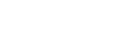 AI native Logo